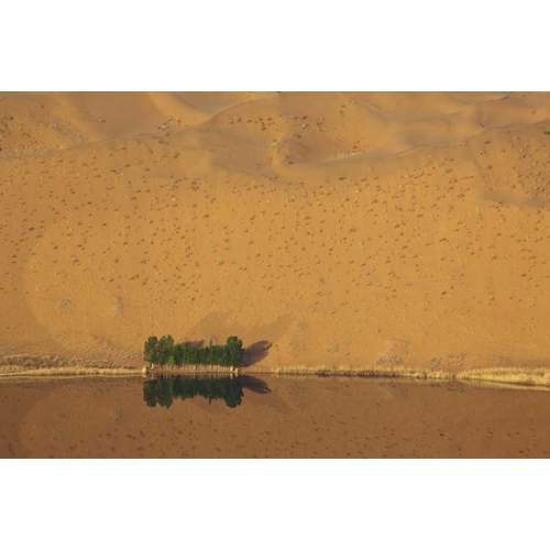 China, Badain Jaran Dune and trees by a lake